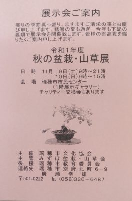 秋の盆栽・山草展