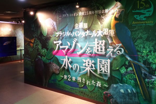 【企画展】アマゾンを超える水の楽園