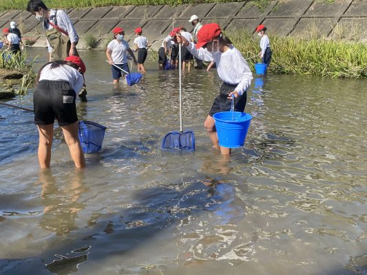 児童による糸貫川の河川調査