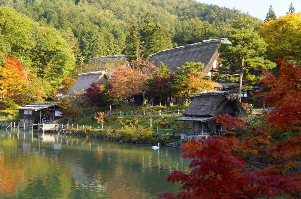 GoTo飛騨高山！　おすすめ紅葉スポットをご紹介!!