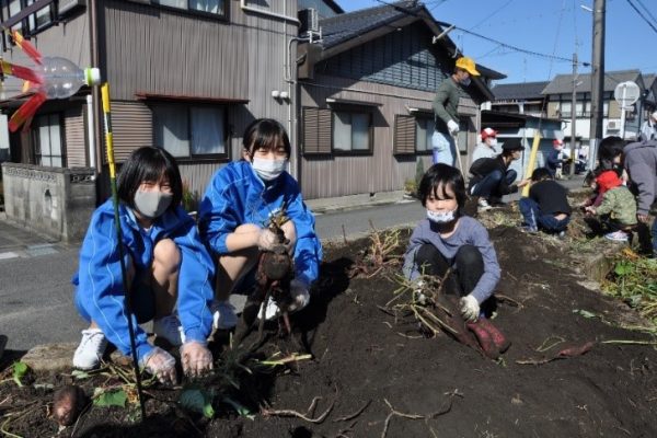 大きな芋掘れたよ‼ 雄飛ケ丘で秋の自主防災＆収穫祭