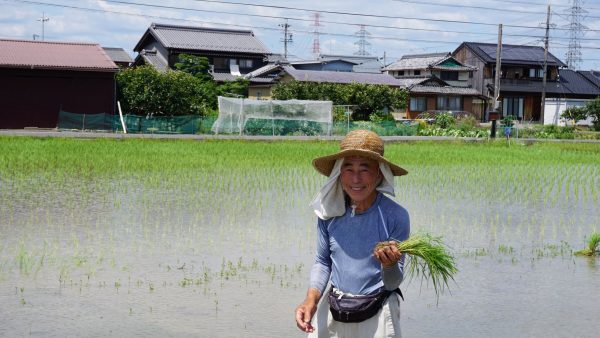 昔ながらの手作業で田植え