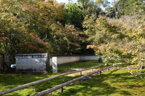 岐阜市の長良川北の紅葉情報①