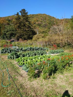 まごころ彩園