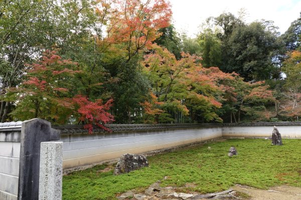 岐阜市北東部・紅葉情報第２弾　見ごろ近し！！