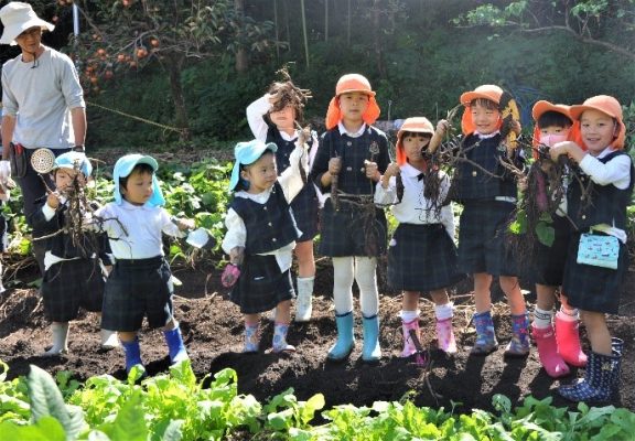 「いもほり」に園児ら歓声‼ かかみがはら幼稚園