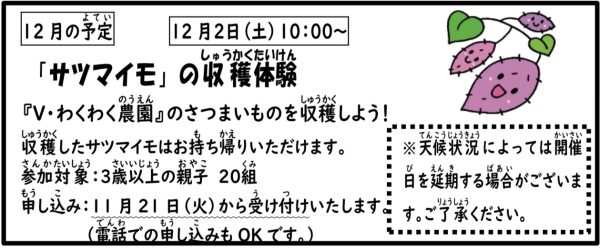 岩野田児童センター『サツマイモ』の収穫体験