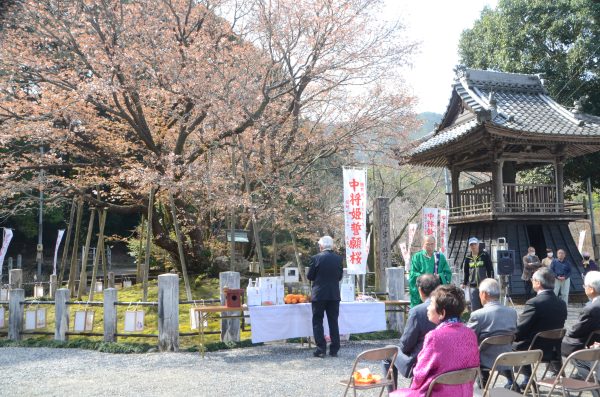 中将姫誓願桜を前に供養祭と観桜会