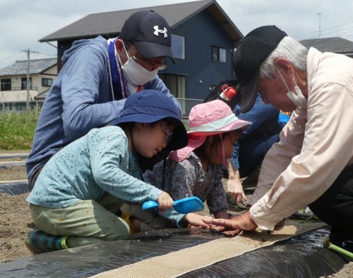 さつまいもで 多世代交流「収穫待ち遠しい！」