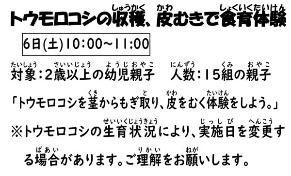 岩野田児童センター『トウモロコシの収穫、皮むきで食育体験』