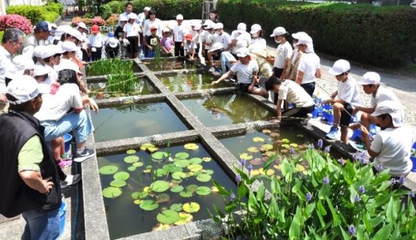 蘇二小の観察池で児童が釣りを体験