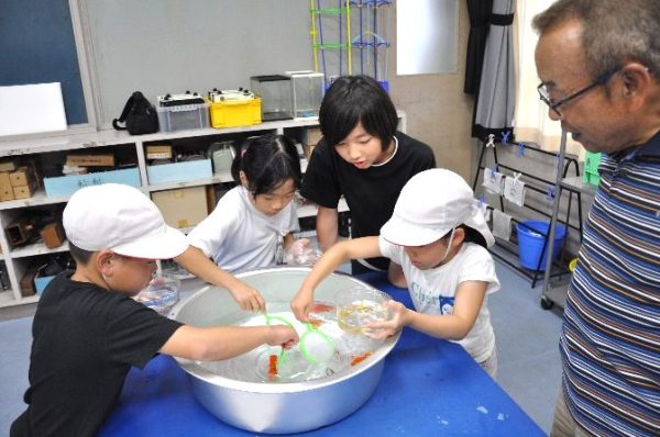 蘇二小で金魚すくい大会　子どもたち大喜び