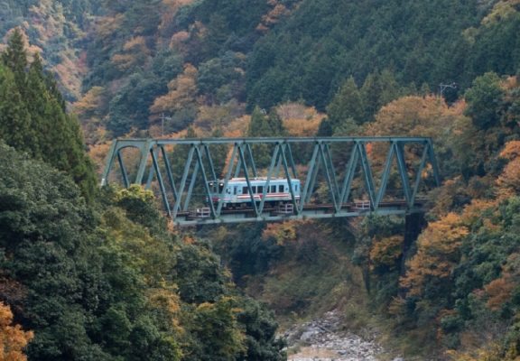 樽見鉄道の薬草列車